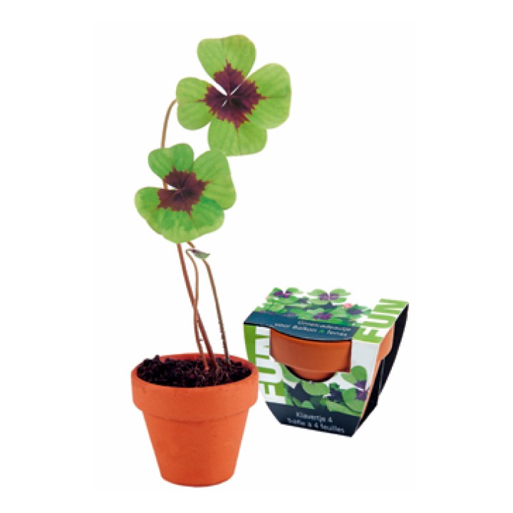 Terracotta groeipotjes