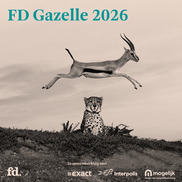 Amigo wint FD Gazelle